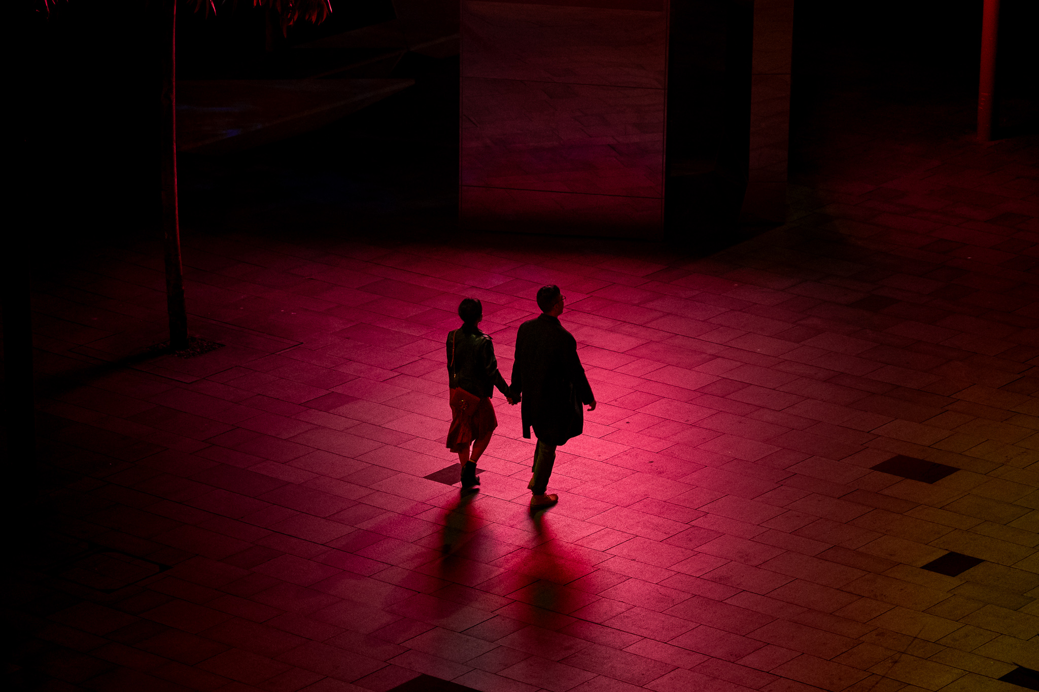 Darling Harbour Couple