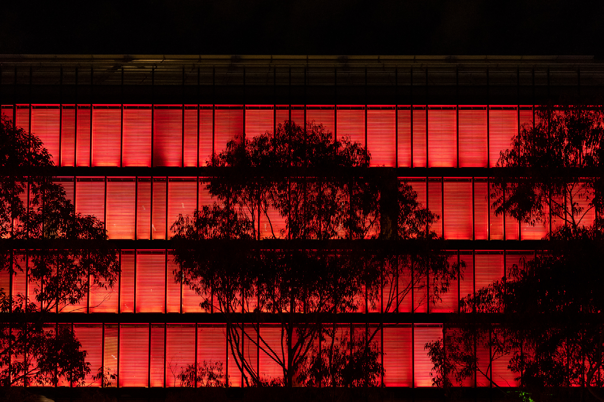 Darling Harbour Facade